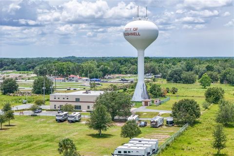 Tiny photo for Bushnell, FL 33513 (MLS # G5109142)