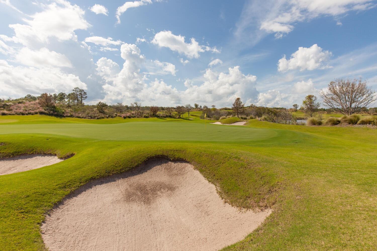 CONSERVATORY HAMMOCK BEACH - Residential
