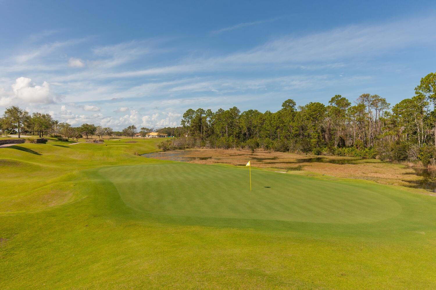 CONSERVATORY HAMMOCK BEACH - Residential