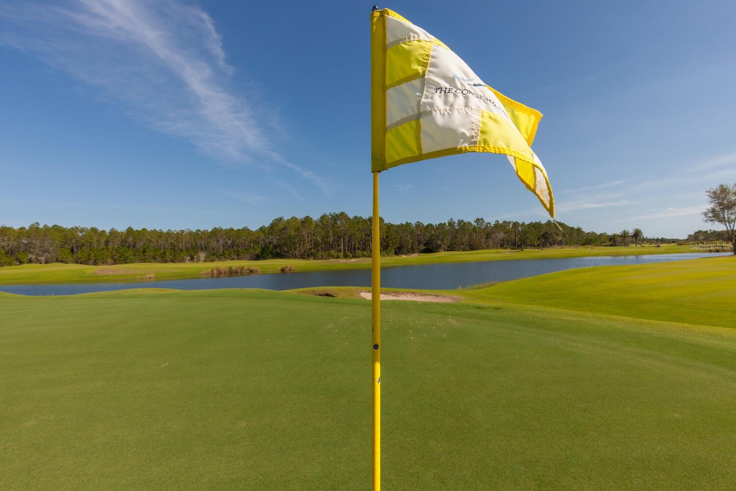 CONSERVATORY HAMMOCK BEACH - Residential