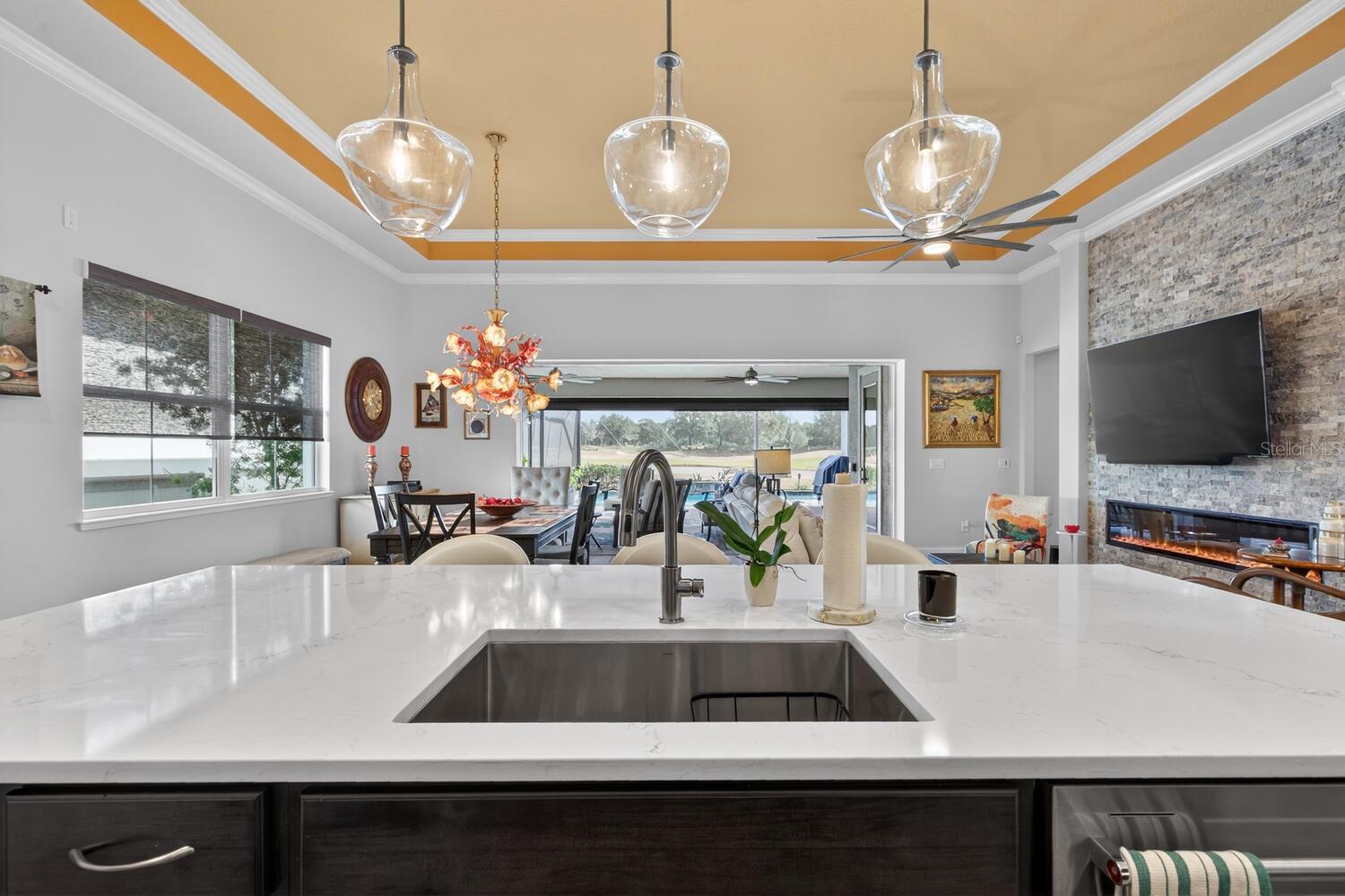 CONSERVATORY HAMMOCK BEACH - Residential