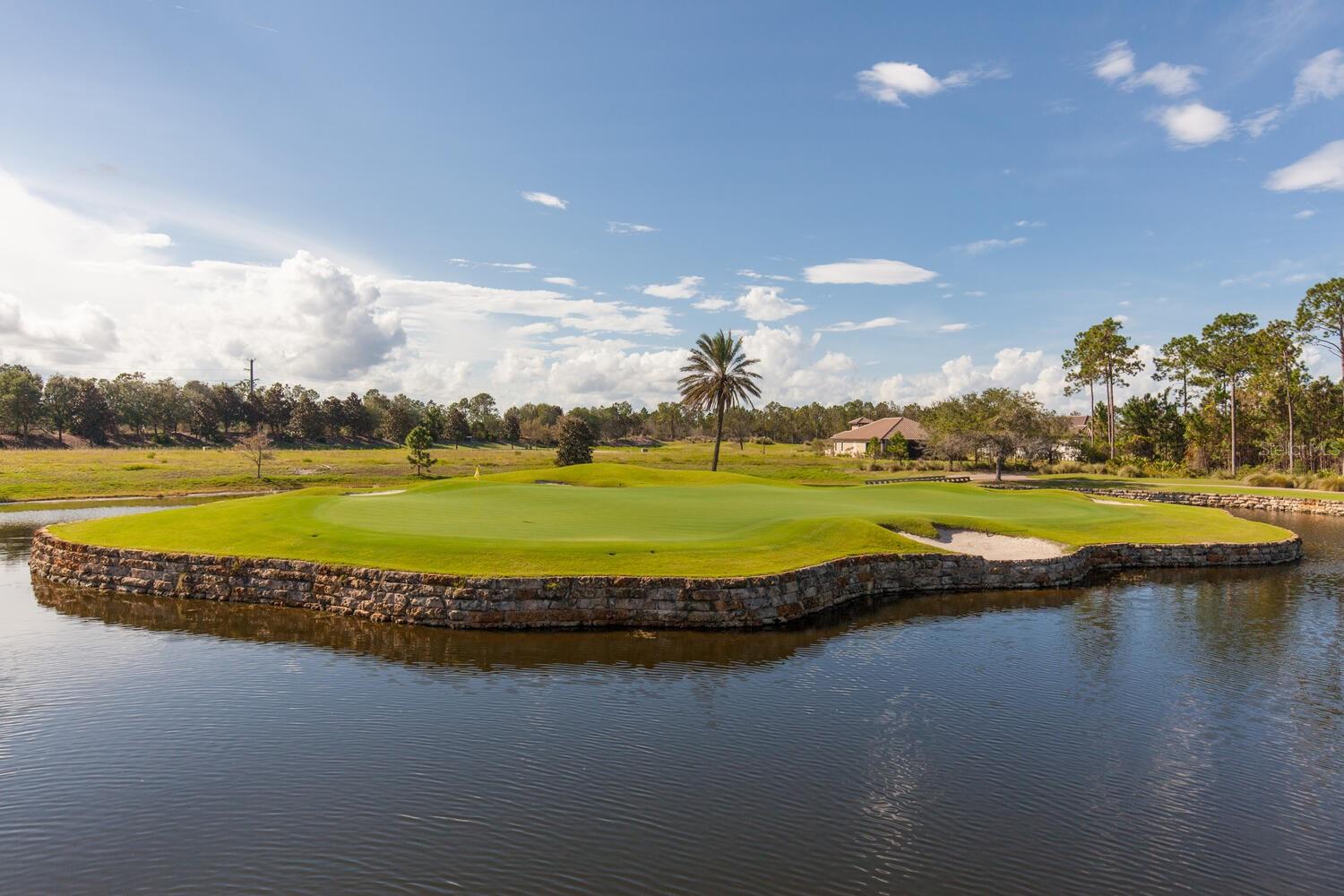 CONSERVATORY HAMMOCK BEACH - Residential