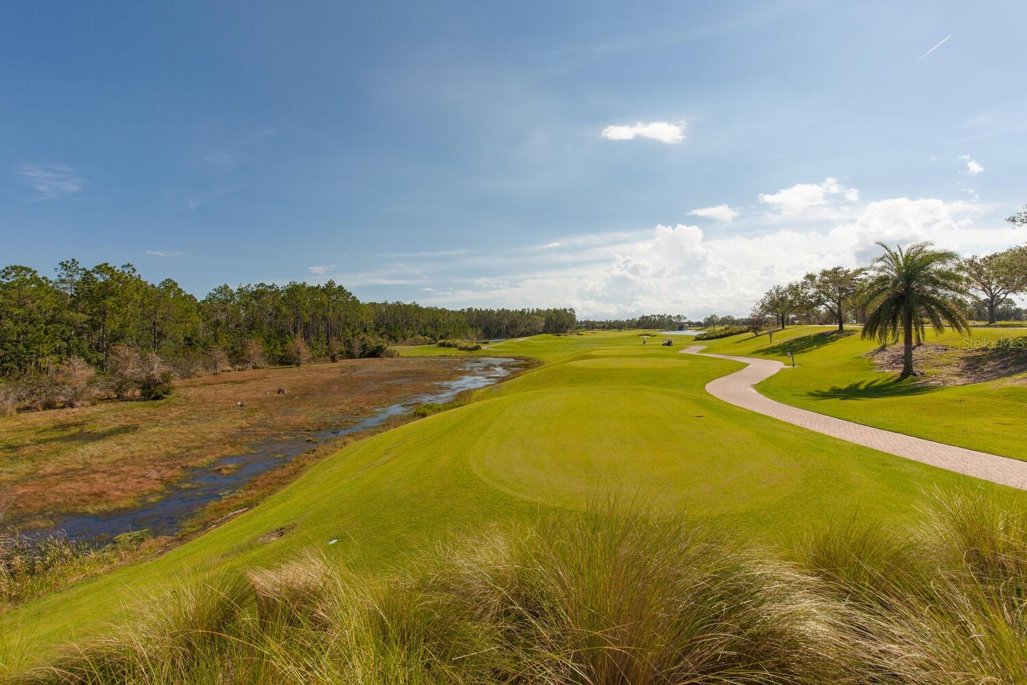 CONSERVATORY HAMMOCK BEACH - Residential