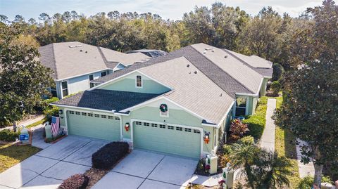 A home in LAND O LAKES