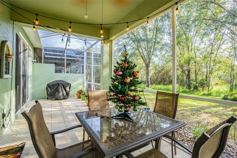 A home in LAND O LAKES