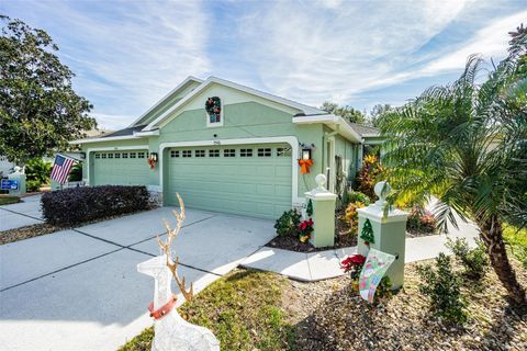 A home in LAND O LAKES