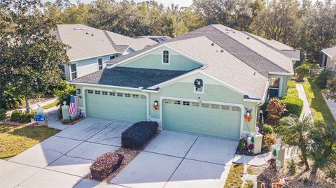 A home in LAND O LAKES