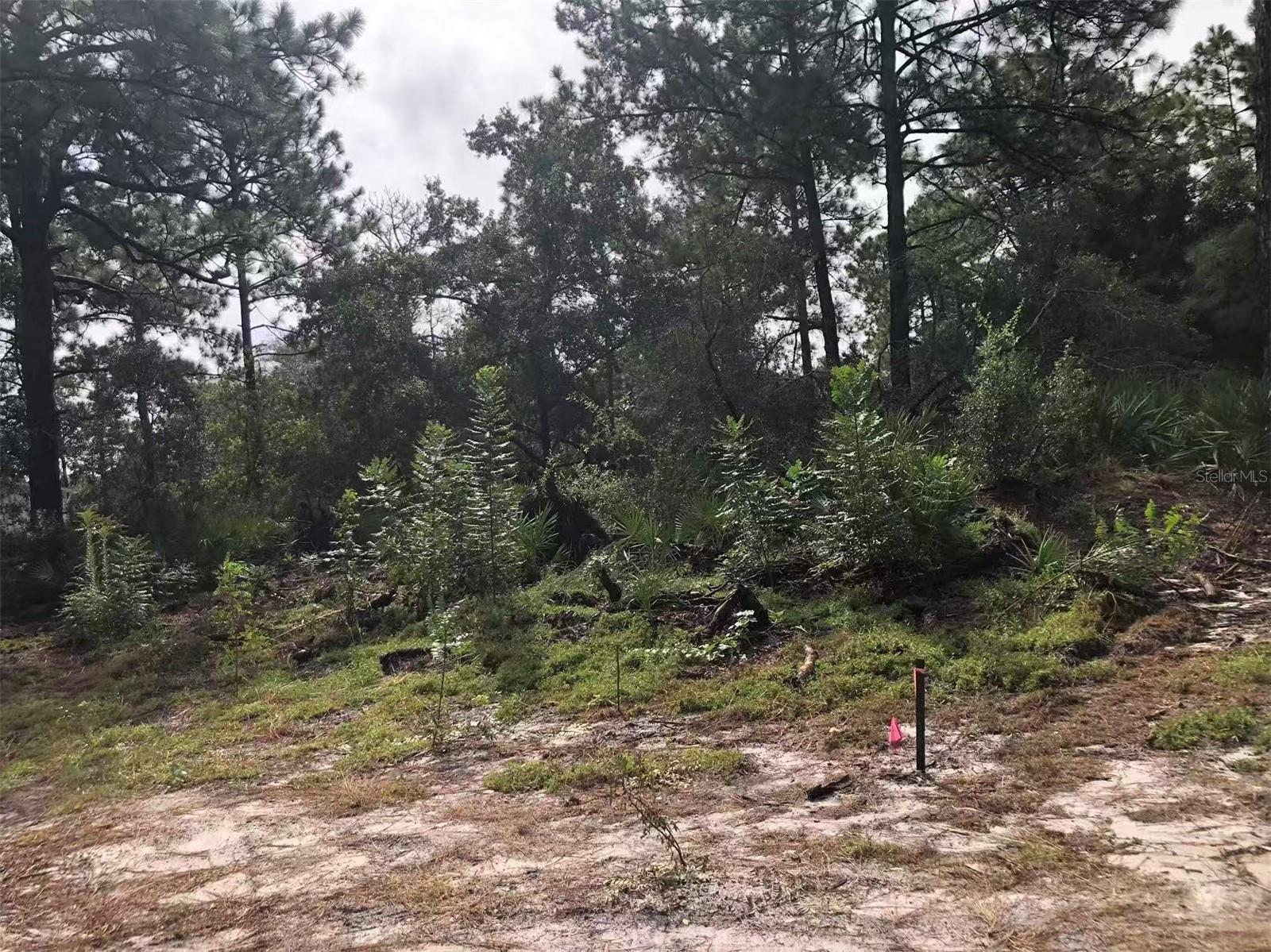 Lot 228 PARK FOREST BOULEVARD Lot 228