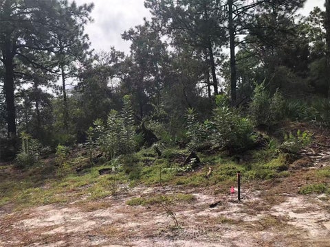Tiny photo for 228 Park Forest Boulevard #Lot 228, Mount Dora, FL 32757 (MLS # O6451602)