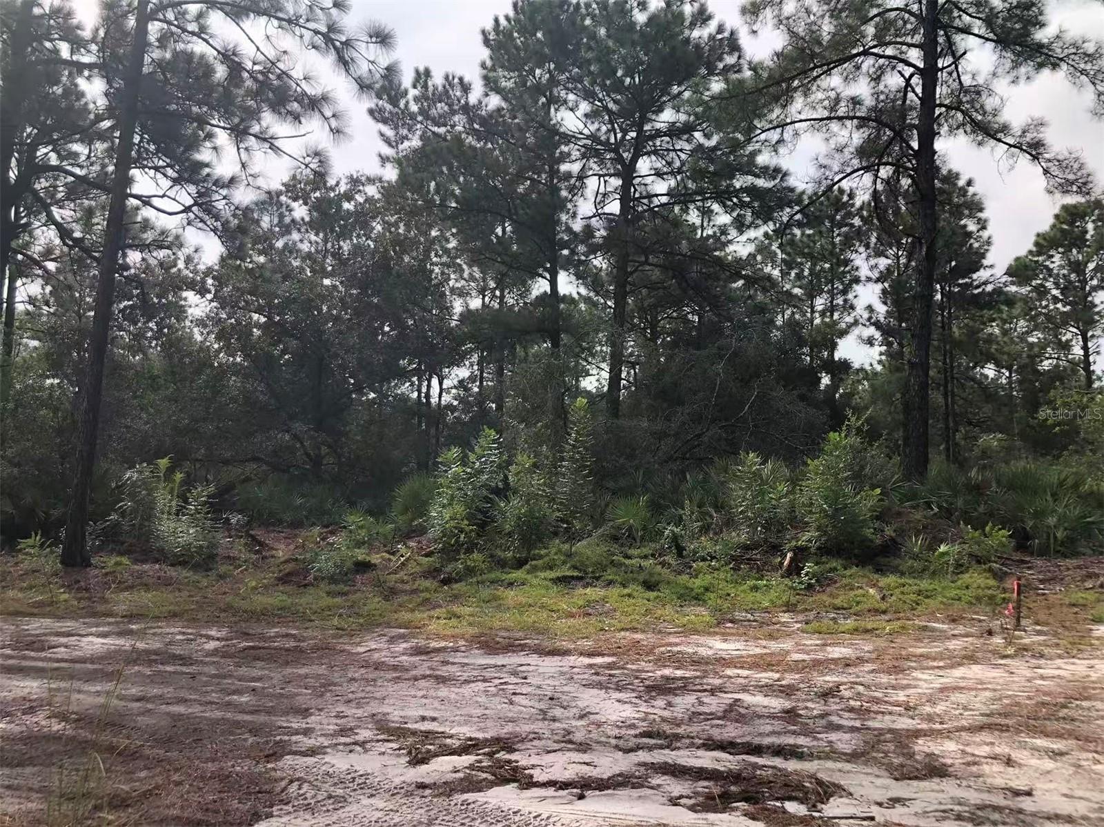 Lot 228 PARK FOREST BOULEVARD Lot 228