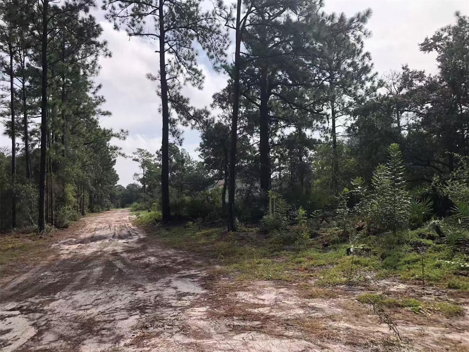Lot 228 PARK FOREST BOULEVARD Lot 228