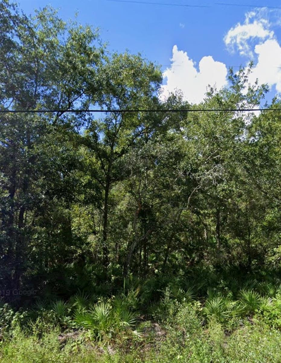 This lot offers an excellent opportunity to build your dream home, a weekend retreat, or an investment property. The neighborhood has a blend of rural charm and convenient access to shopping, dining, and major highways for an easy commute to Tampa, Clearwater, and surrounding areas. Residents enjoy proximity to Moon Lake Park, where you can relax by the water, go fishing, or enjoy picnics in a scenic setting. With no HOA and affordable property taxes, this lot gives you the flexibility to create the lifestyle you want. Seller financing available.