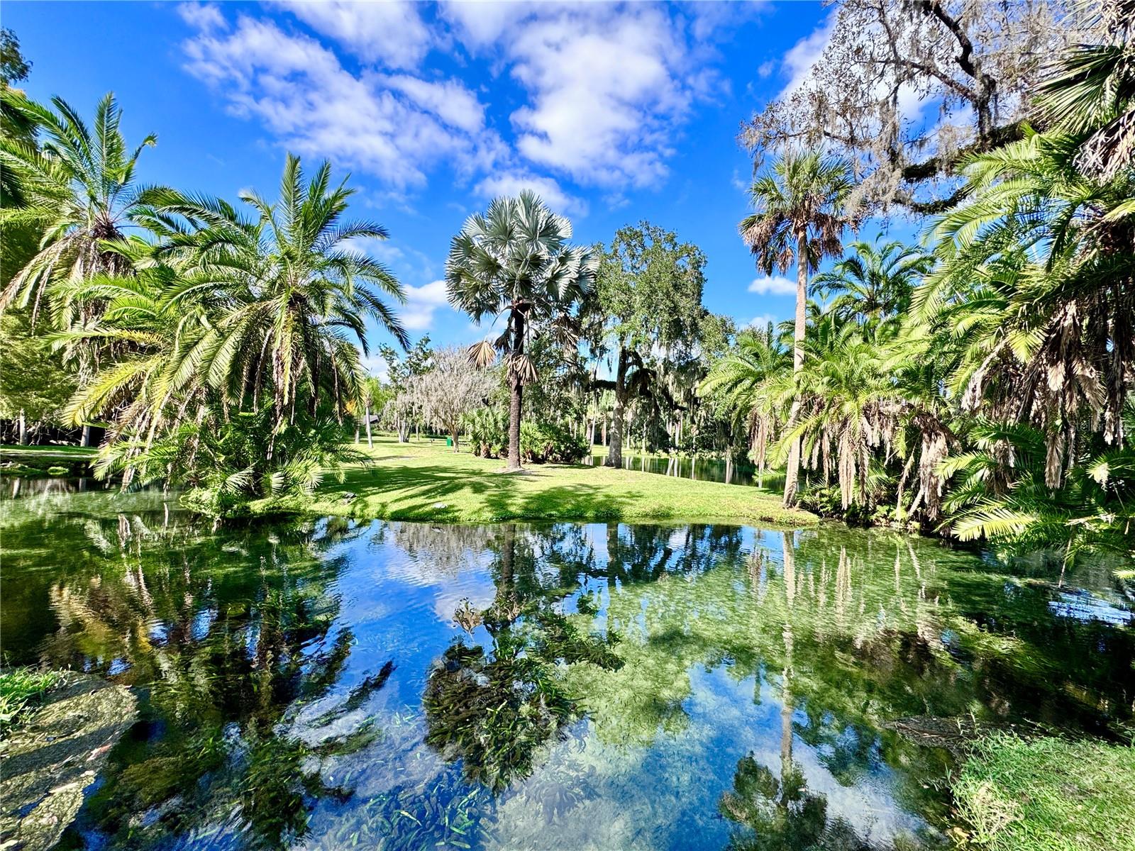 SPRINGS THE SHADOWOOD VILLAGE SEC 2 - Residential