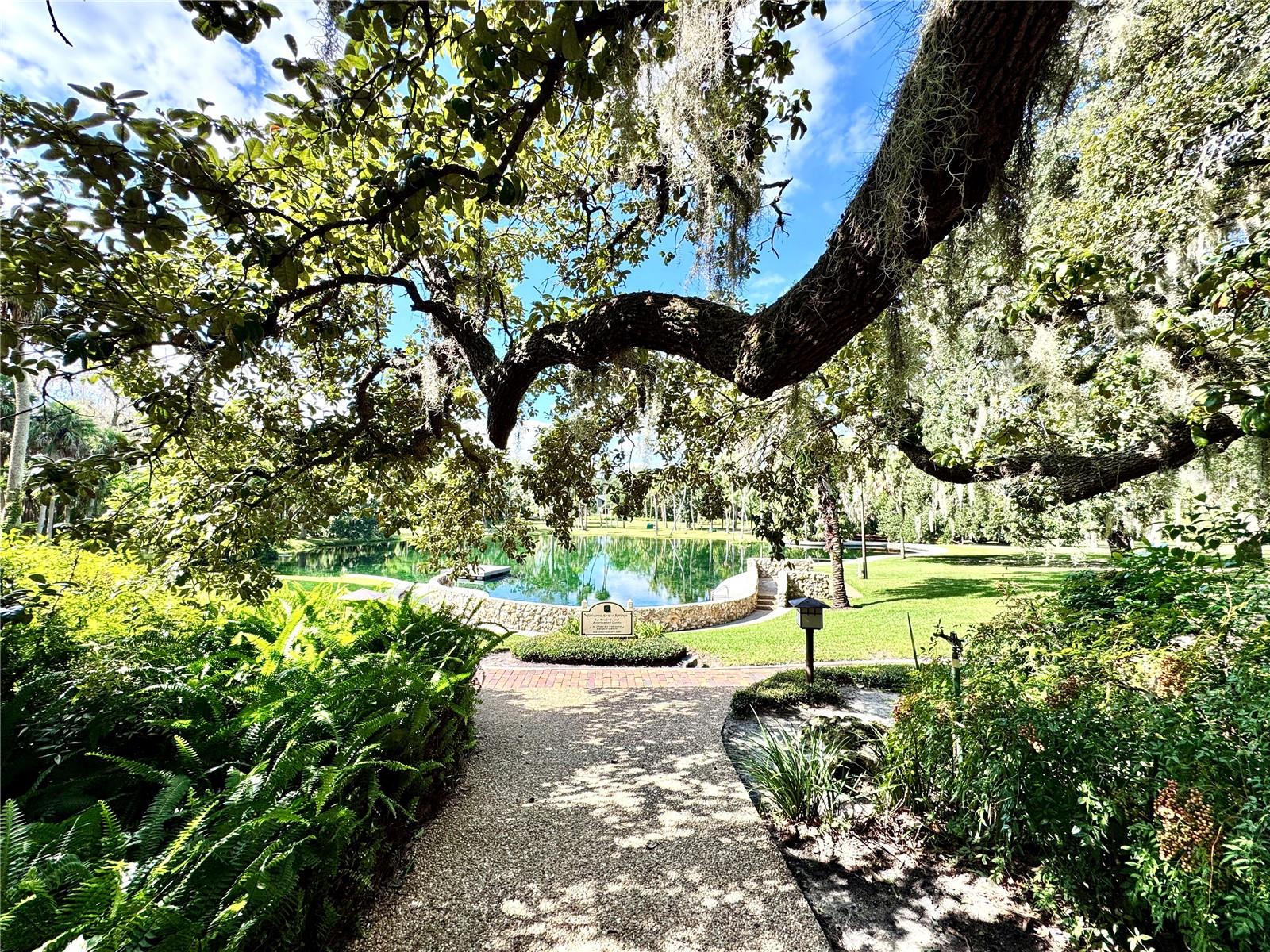 SPRINGS THE SHADOWOOD VILLAGE SEC 2 - Residential