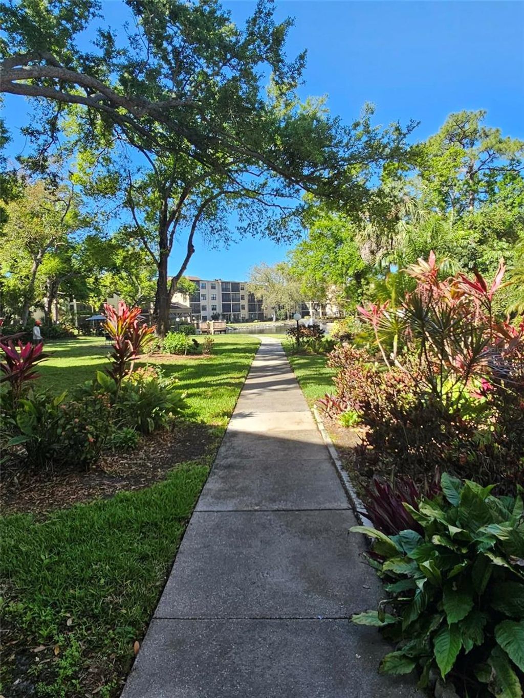 Photo of 315 30th Avenue W #B307, Bradenton, FL 34205 (MLS # A4686134)