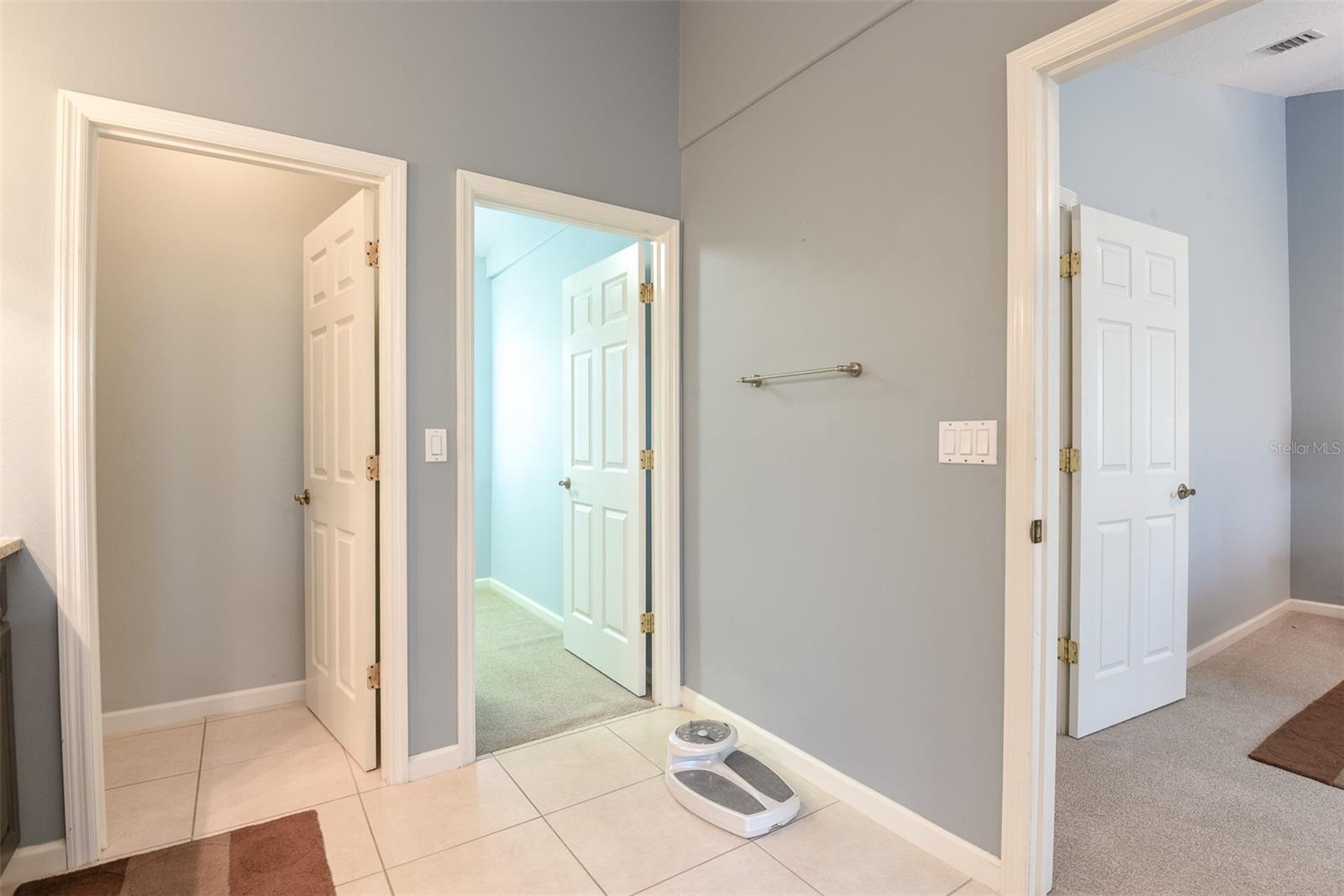 BRIDGEWATER/FLAGLER BEACH - Residential