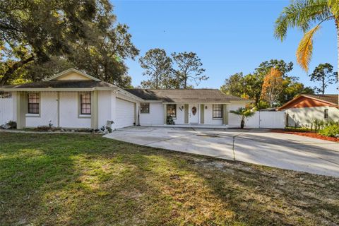 529 BISON CIRCLE APOPKA FL 32712