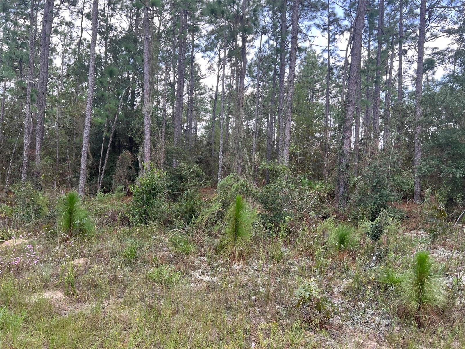 ROLLING HILLS UN 02 - Land