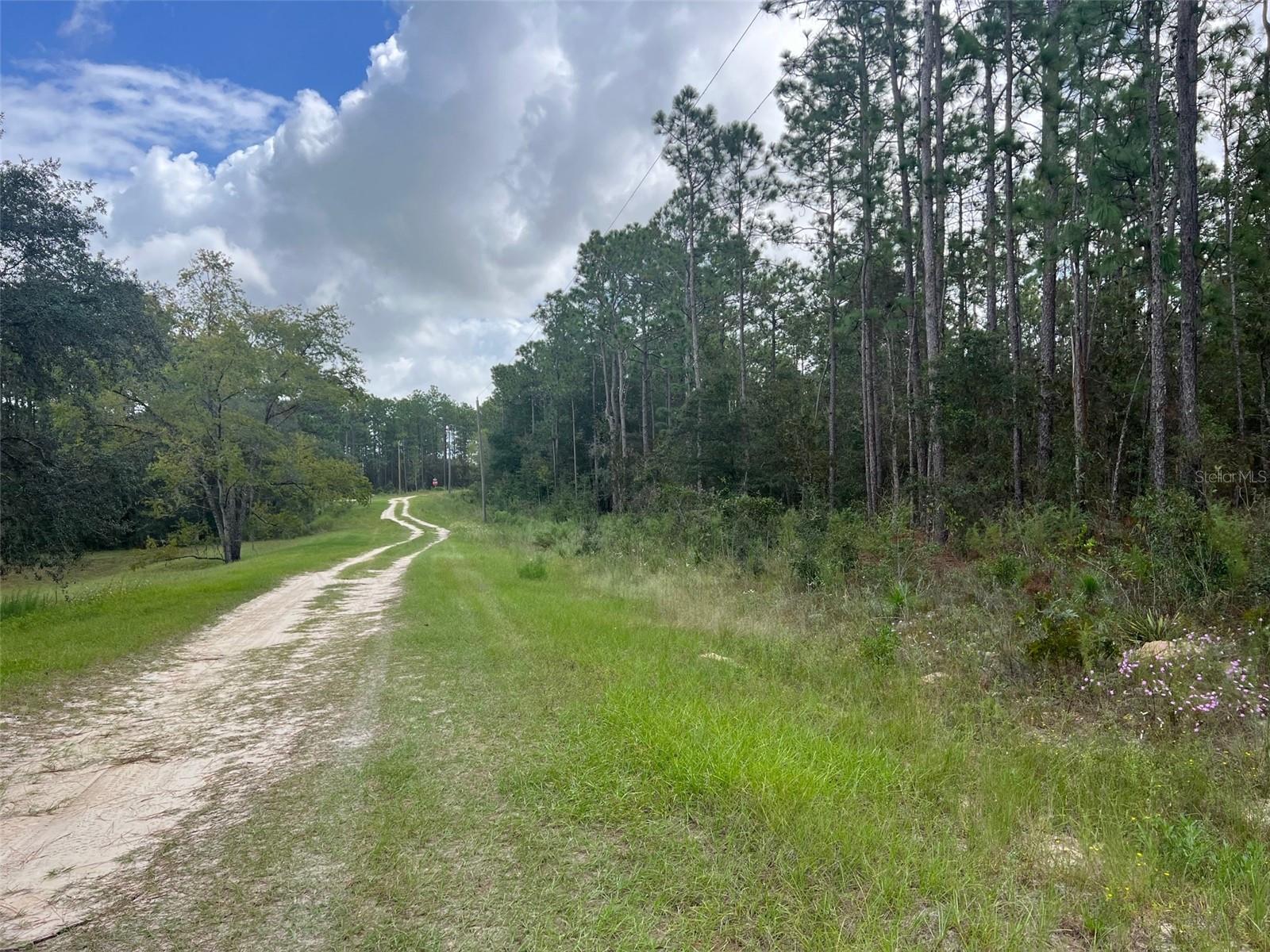 ROLLING HILLS UN 02 - Land