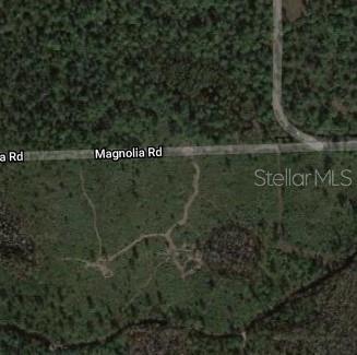 nice 1.25 acres agricultural use or forestry, public road, private area, nice surroundings, buyer is due diligence, as-is