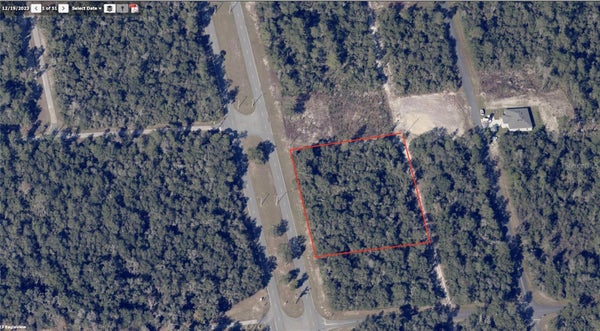 MARION OAKS BLVD, OCALA, FL 34471 - Image b8ecfd5ccdd87ee6185d5b46e53589e9/1548289036