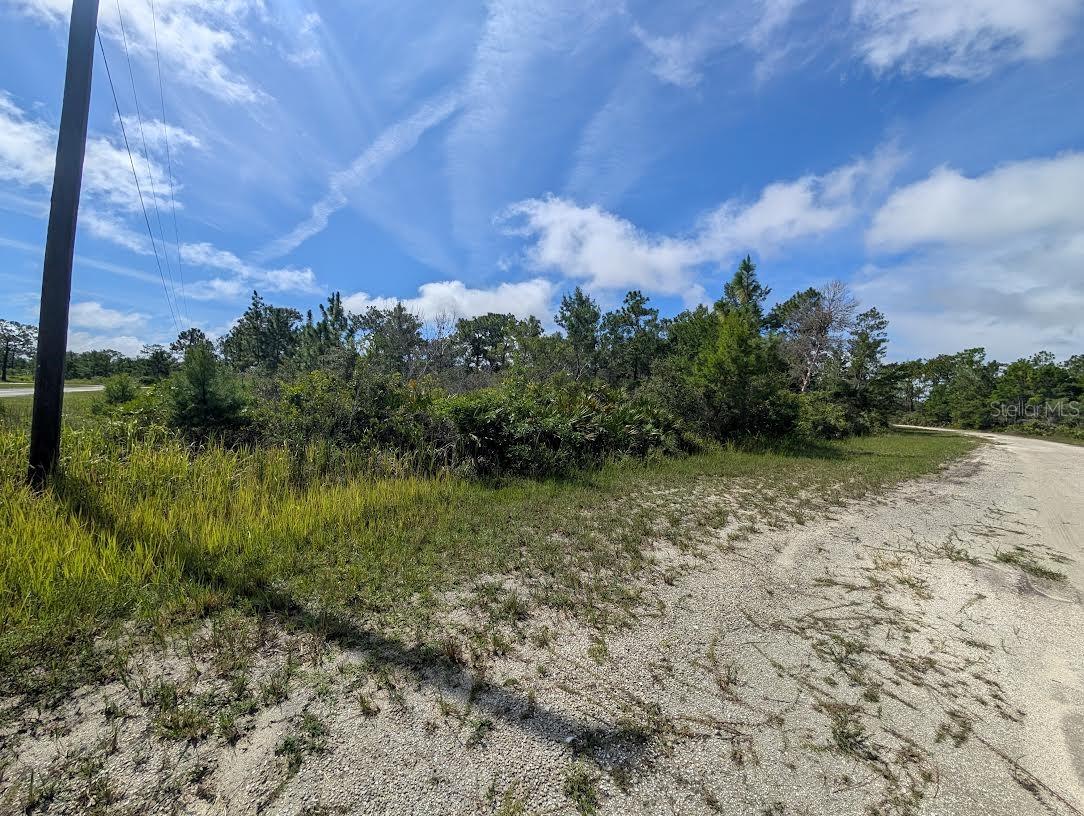 INDIAN LAKE ESTATES - Land