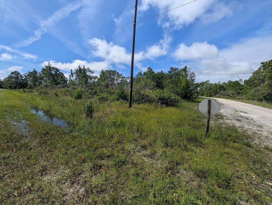 INDIAN LAKE ESTATES - Land