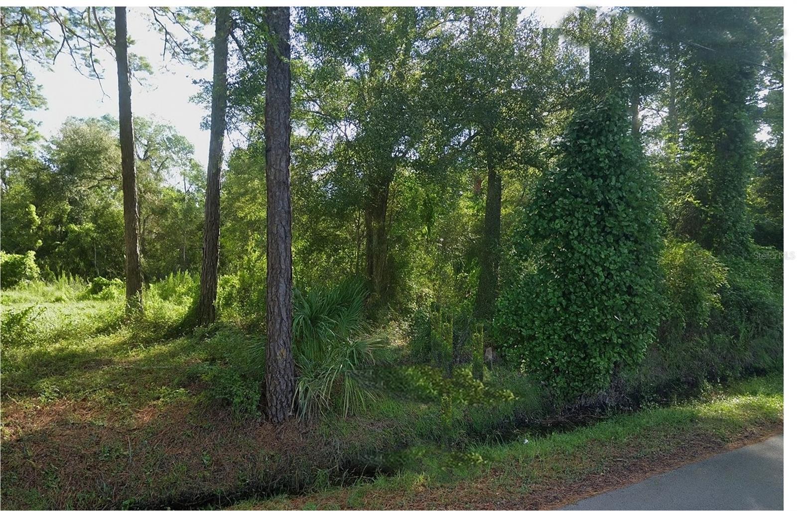 PRIME DEVELOPMENT OPPORTUNITY: 7.34 ACRES WITH URBAN RESERVE ZONING! This expansive 7.34-acre parcel, located at 320 Alabama Ave, offers a significant footprint for your next project. With approximately 597 feet of road frontage, this property is poised for future development. A key highlight is the Future Land Use designation of Urban Reserve (UR), signaling the county's intent for future growth and making this a strategic land bank or development site. The property is located in Flood Zone AE. Whether you are a developer looking for your next project or an investor seeking a prime piece of land in the path of progress, this property offers a unique and valuable opportunity. Don't miss out on this chance to secure a significant holding in a designated future growth area!