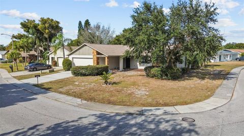 A home in PORT RICHEY