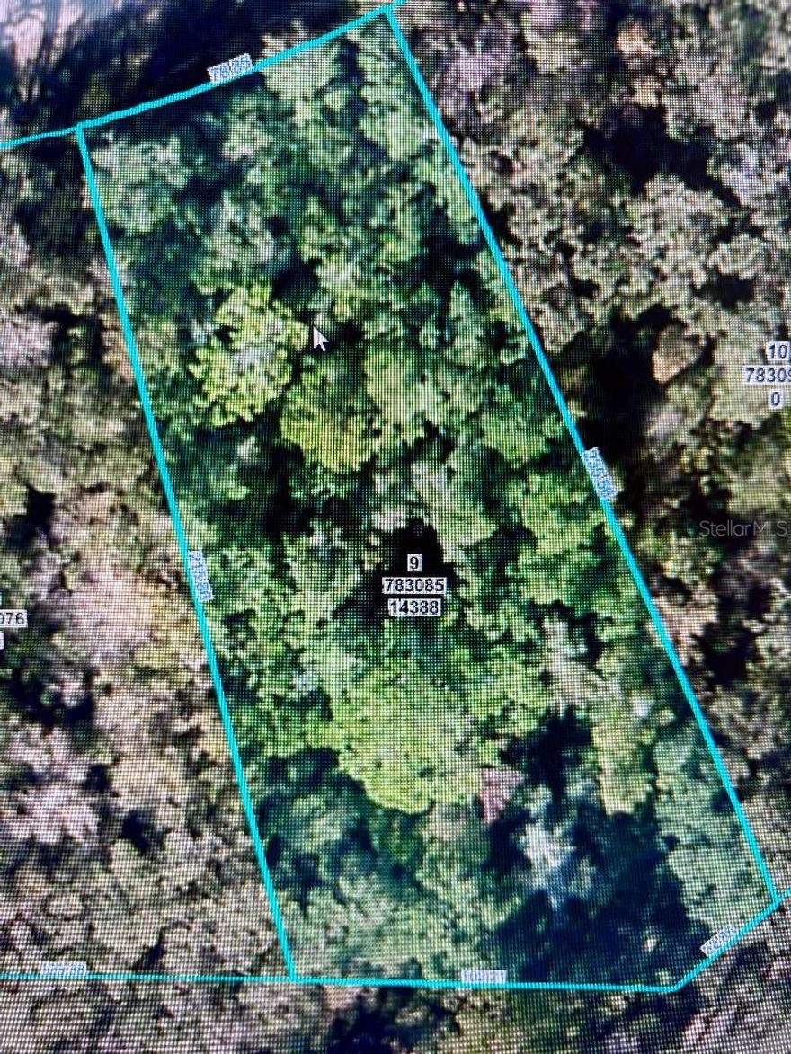 Nice approx. half acre residential lot to build your dream home on! No HOA and no CDD! Nice location in Royal Highlands, offering peaceful privacy you desire and still close enough to an abundance of amenities. Publix and newer schools are just down the road. Head a few minutes north and jump on 98 to get to the Suncoast Parkway for a quick commute to Tampa and surrounding areas. Head a few minutes south and you have all that SR 50 has to offer including 2 hospitals, medical facilities, shopping, dining, and churches. This area offers many outdoor activities. Enjoy boating or kayaking? The famous Weeki Wachee River, Bayport, Pine Island, Rodgers Park, Gulf of America, Chassahowiztka River, and Homosassa River are all within a short distance! Lots of options to launch from and get out on the water!
