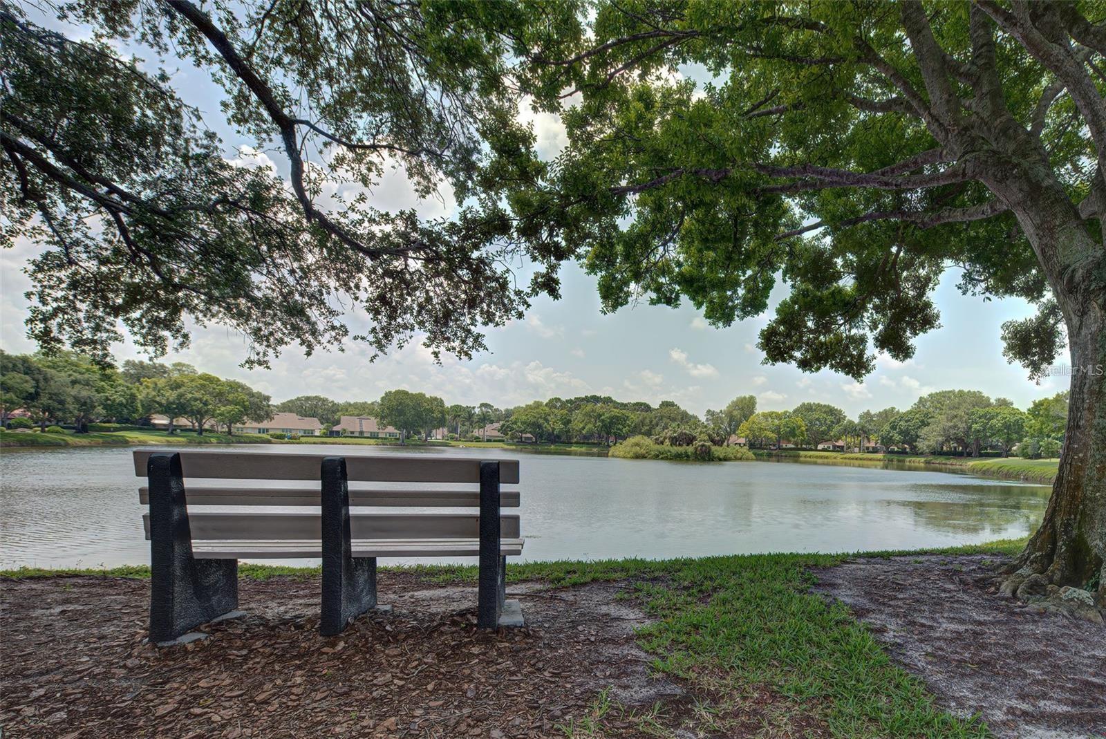 CHESTNUT CREEK PATIO HOMES - Residential