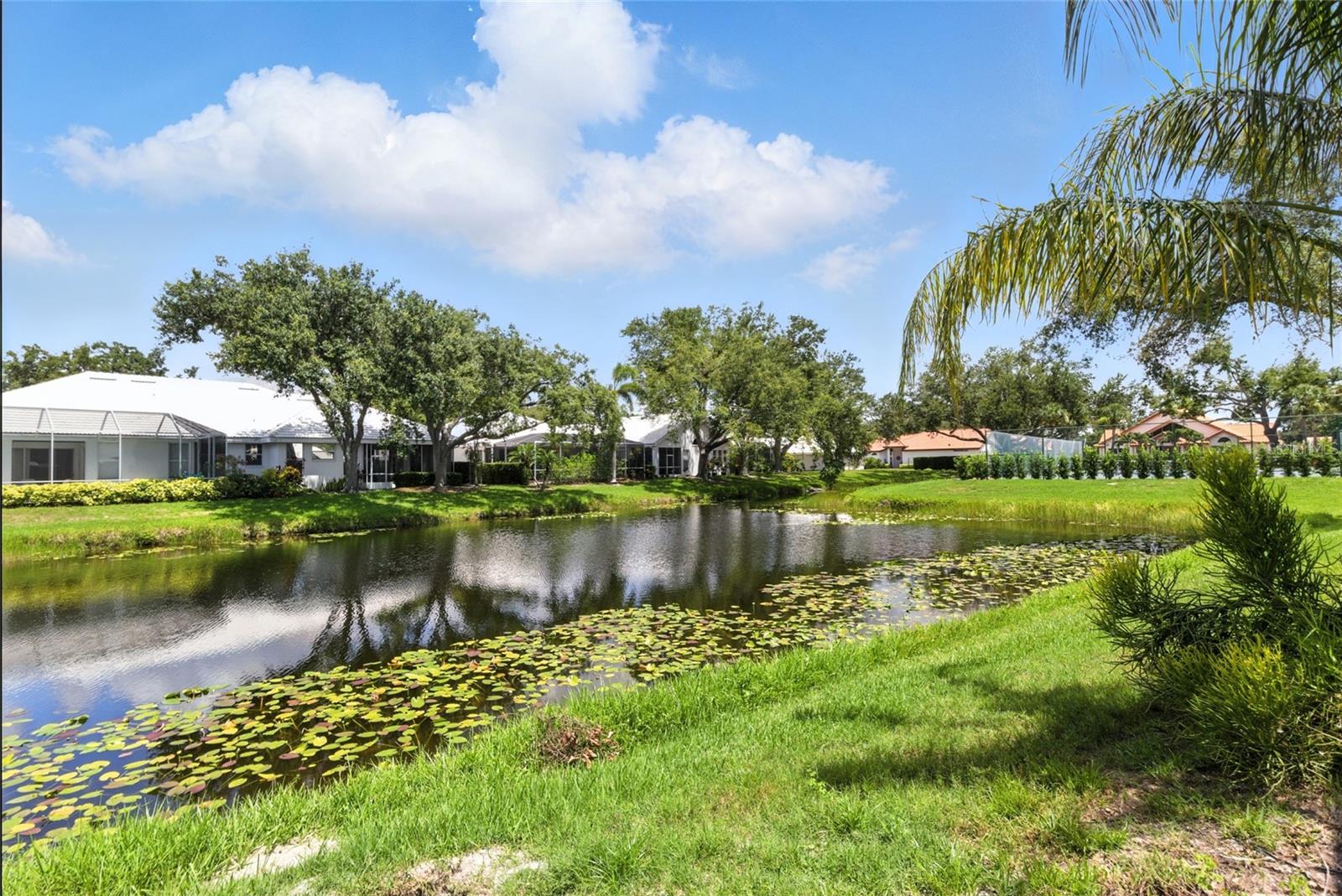 CHESTNUT CREEK PATIO HOMES - Residential