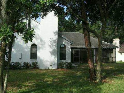 A home in VALRICO
