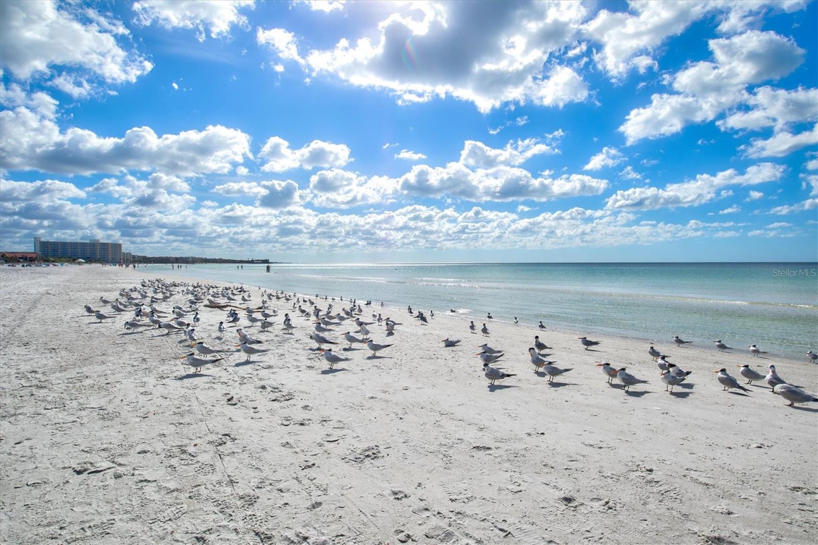 CASA MAR - Residential