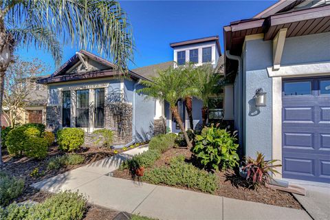 A home in LAND O LAKES