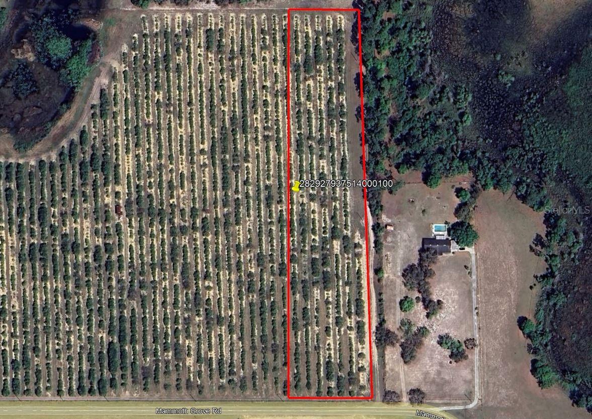 Secluded 5.3-acre homesite near Lake Wales, FL, featuring wooded areas
and ponds. Offers privacy while still being close to restaurants, shopping,
and schools. Wildlife on the property includes deer, turkey, and hogs.