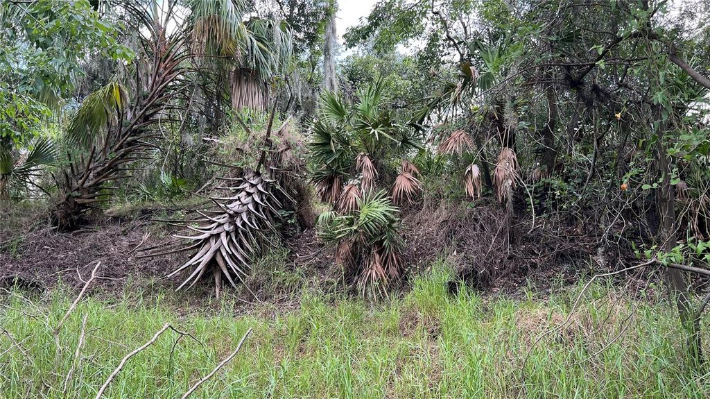 Photo of NW Scout Avenue, Arcadia, FL 34266 (MLS # A4656985)