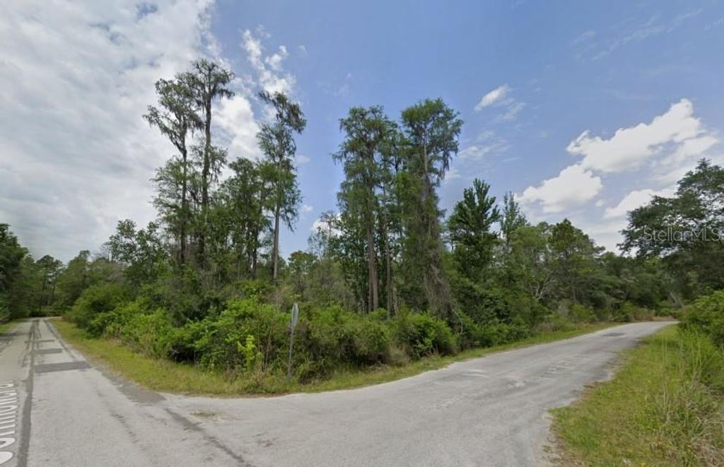 Photo of 9744 N Bonsai Avenue, Crystal River, FL 34428 (MLS # TB8428194)