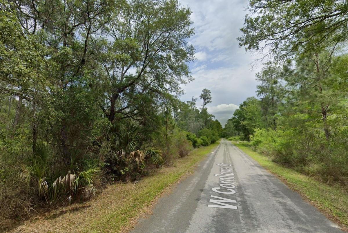 Discover your slice of Florida paradise! This 1.39-acre lot in Crystal River is the perfect place to build your dream home. Located in a quiet, peaceful area with plenty of space to spread out, this property offers privacy, freedom, and natural beauty.Crystal River is known for its springs, manatees, and small-town coastal charm. This lot is perfect for someone seeking space and freedom, while still being close to town, the Gulf, and endless outdoor recreation.