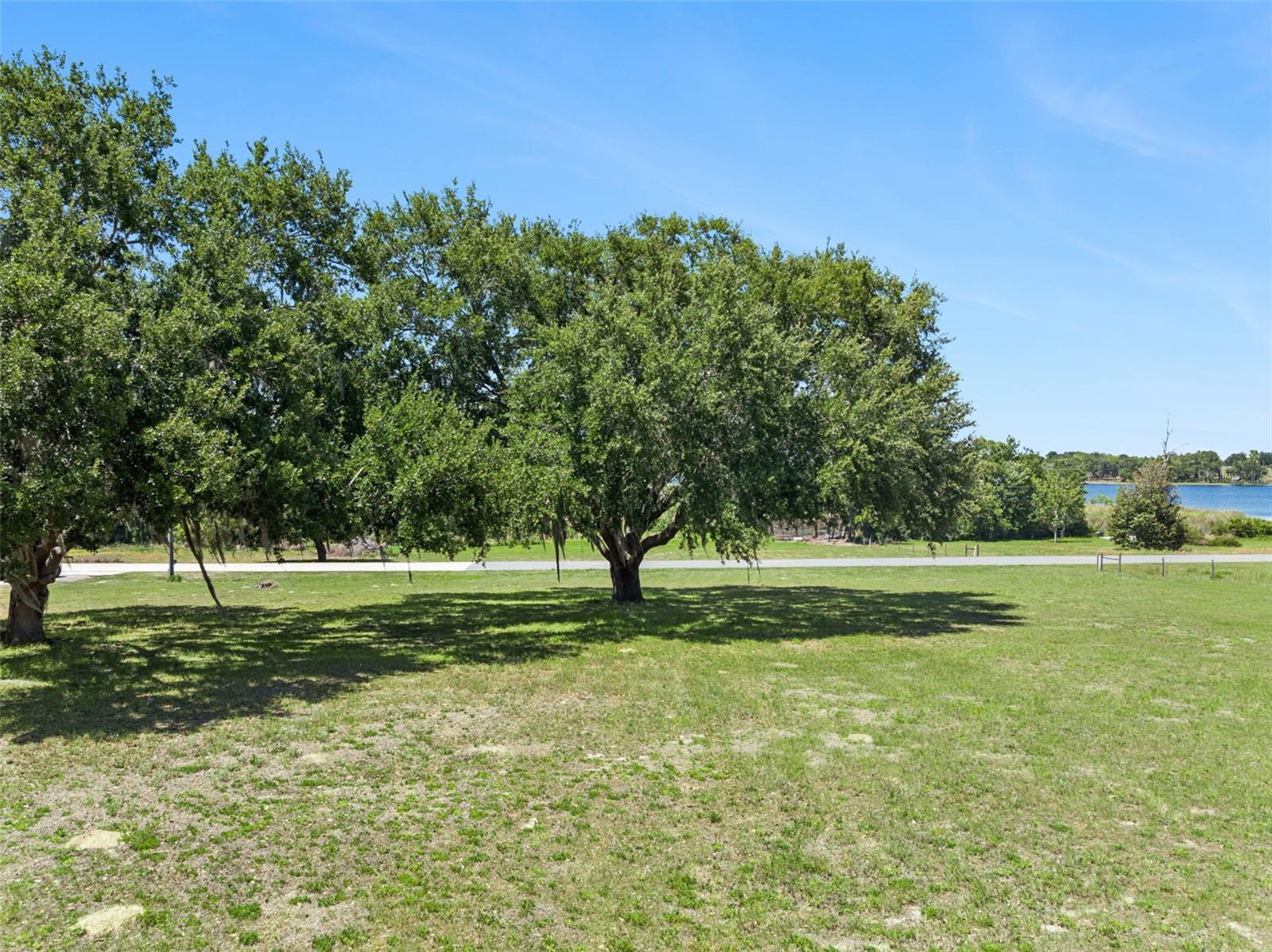 LAKE GERTRUDE COURT REP - Residential
