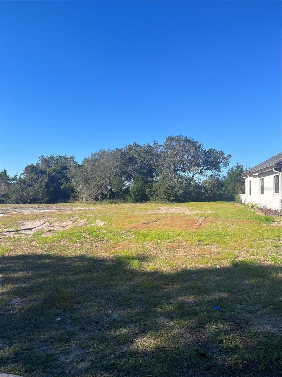 482 SWEETGUM LANE
