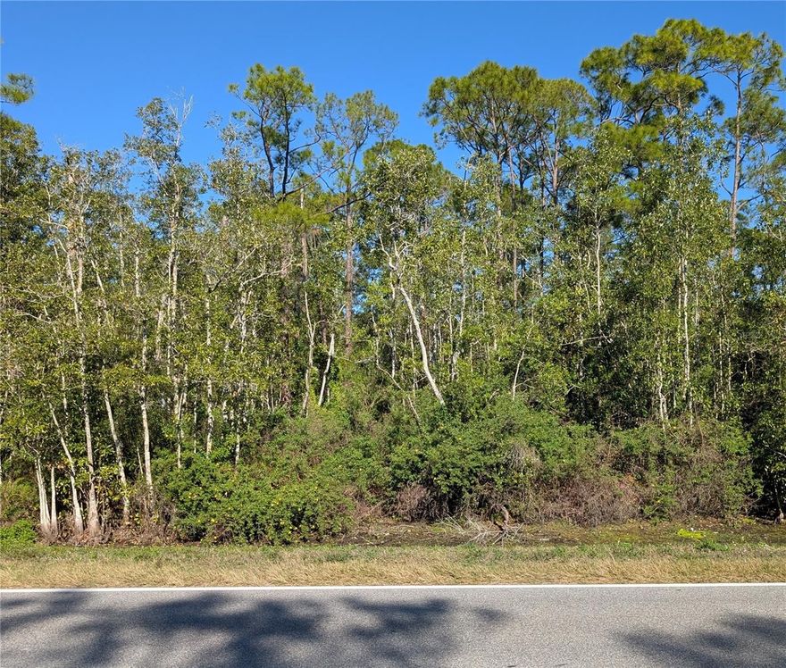 Build your Florida retreat on this wooded lot offering a natural setting with mature trees, providing privacy and a peaceful atmosphere. conveniently located near local amenities while still offering a quiet, rural feel, this lot presents a great opportunity for future development or investments. Buyer should verify zoning and land use with Highlands County and should verify flood insurance and buildings requirements.