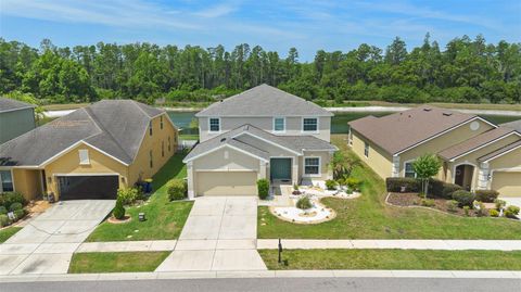 Photo of 5521 Shasta Daisy Place, Land O Lakes, FL 34639 (MLS # TB8508773)