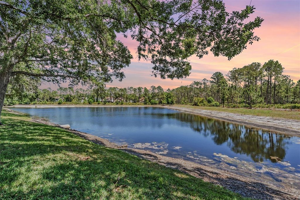 Photo of 17537 Fairmeadow Drive, Tampa, FL 33647 (MLS # TB8373262)