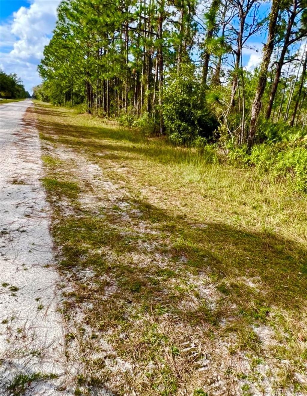 Photo of Oleander Drive, Indian Lake Estates, FL 33855 (MLS # TB8361554)