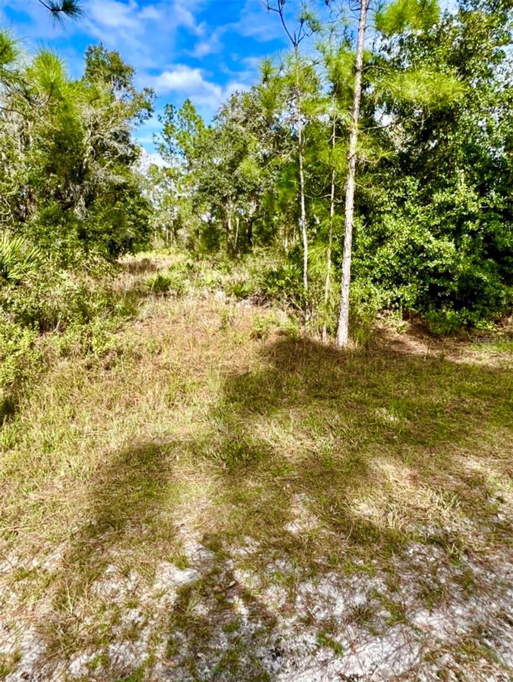 Photo of Oleander Drive, Indian Lake Estates, FL 33855 (MLS # TB8361554)