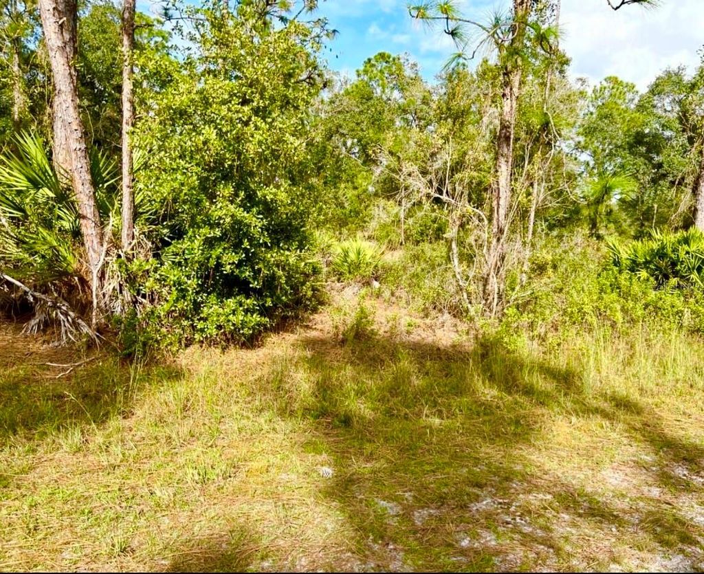 Photo of Oleander Drive, Indian Lake Estates, FL 33855 (MLS # TB8361554)