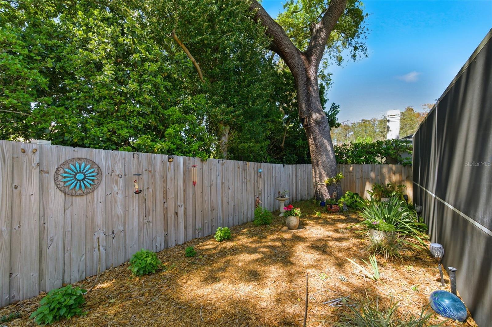 GROVES AT COBBS LANDING - Residential