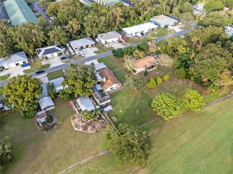 A home in MOUNT DORA