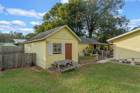 A home in MOUNT DORA